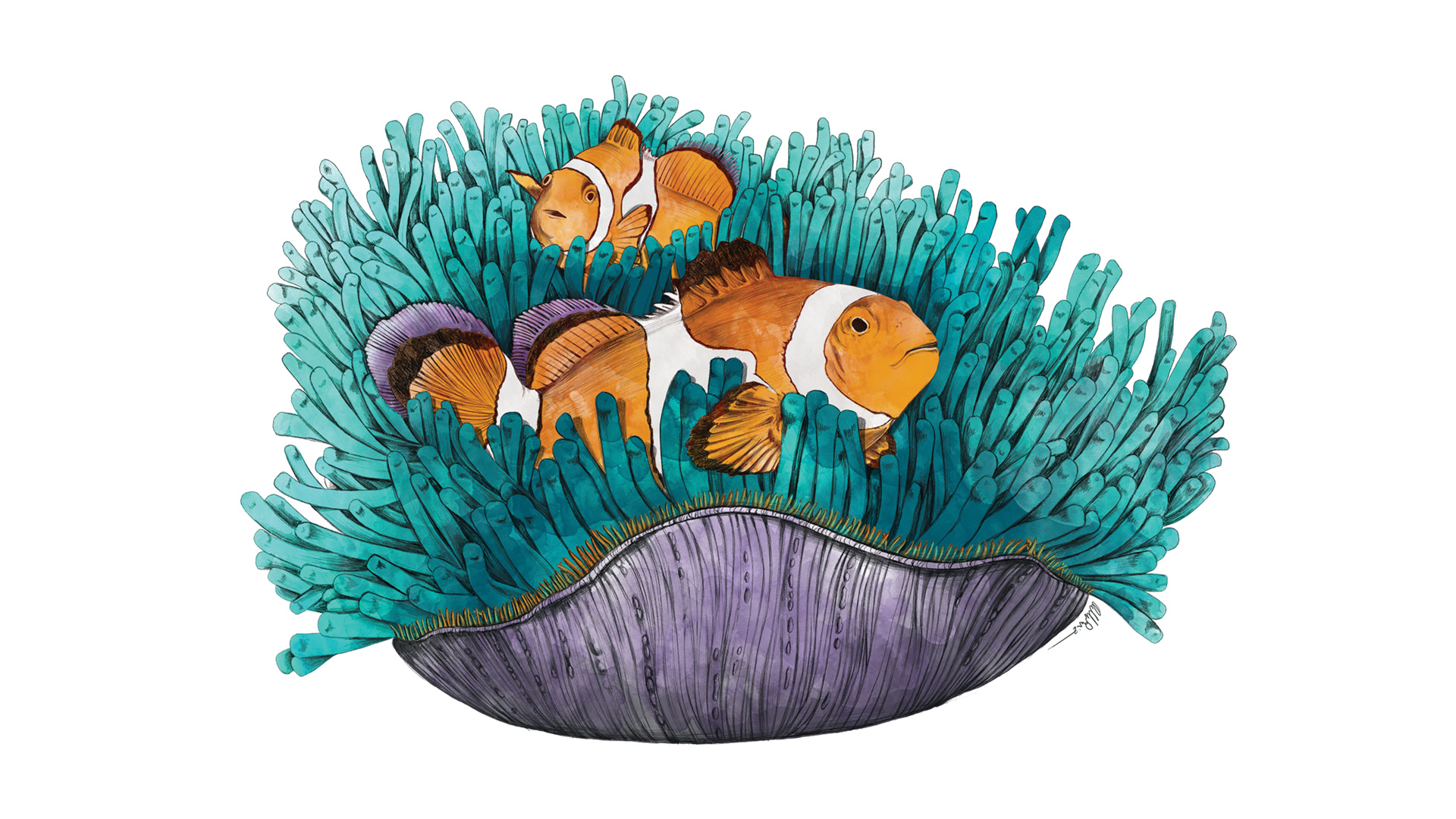 Termo Fishtank "ClownFish" - Imagen 2