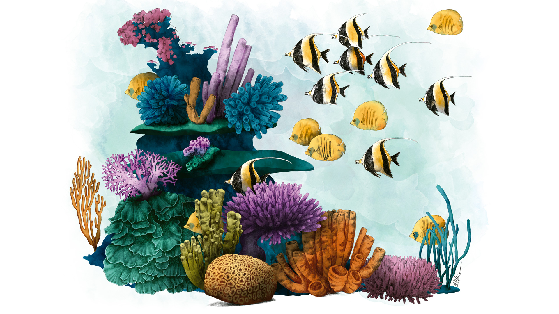 Termo Fishtank "Corals" - Imagen 2
