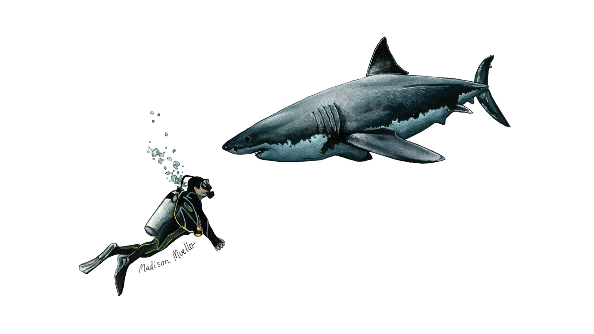 Termo Fishtank "Great White" - Imagen 2