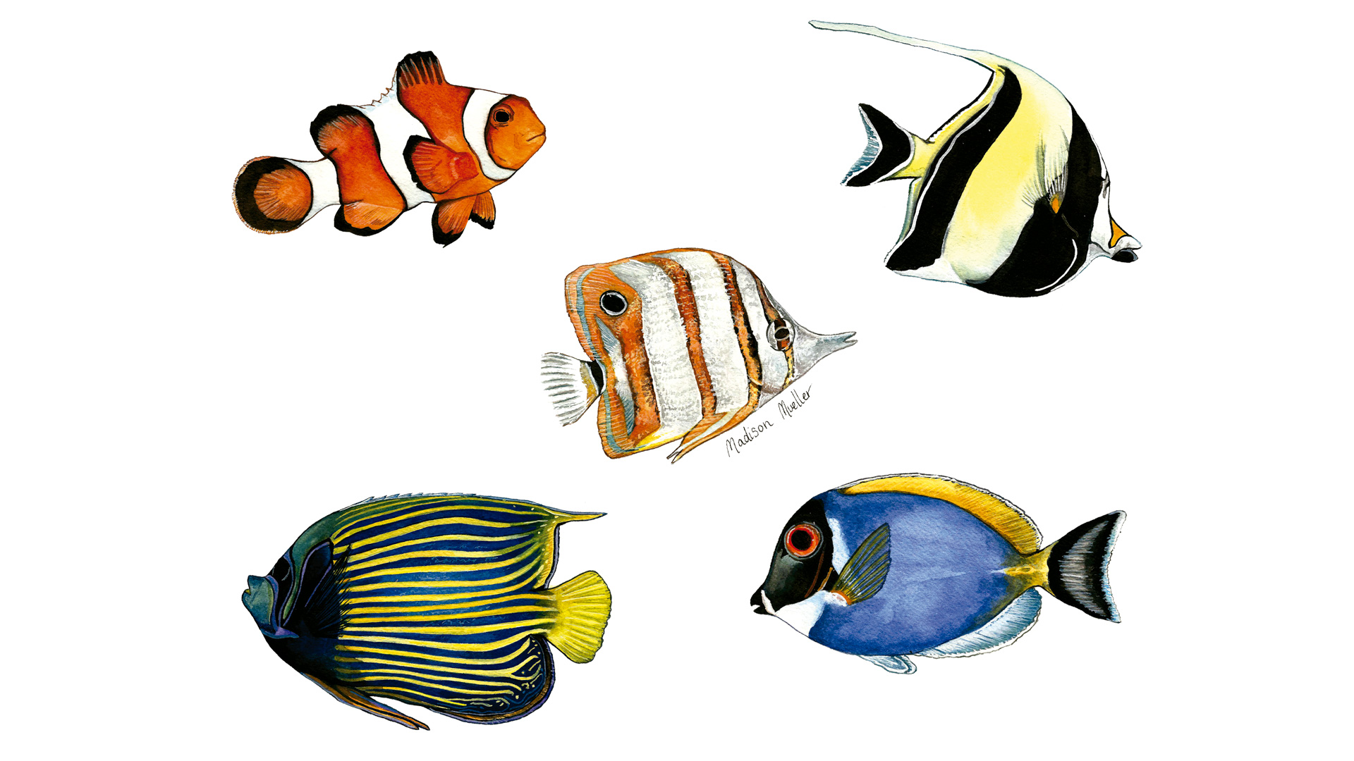 Termo Fishtank "Reef Fish" - Imagen 2